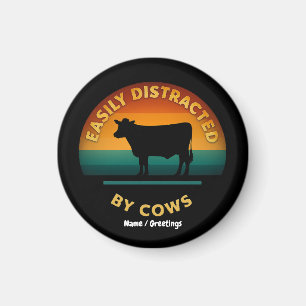 Íman Facilmente Distraído Por Vacas Engraçadas Com Pres