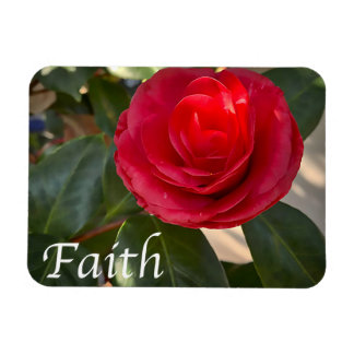 Íman Faith - Red Camellia Bloom