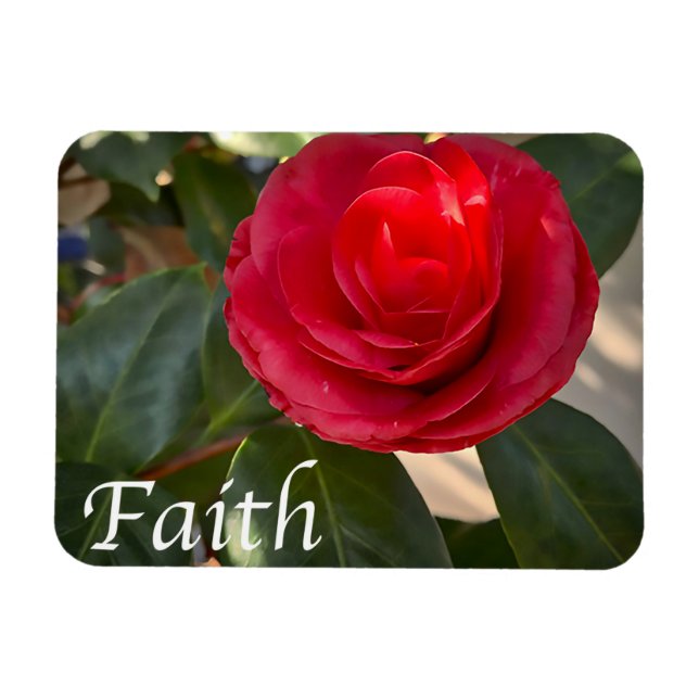 Íman Faith - Red Camellia Bloom (Horizontal)