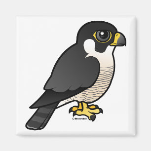 Íman Falcão de peregrino