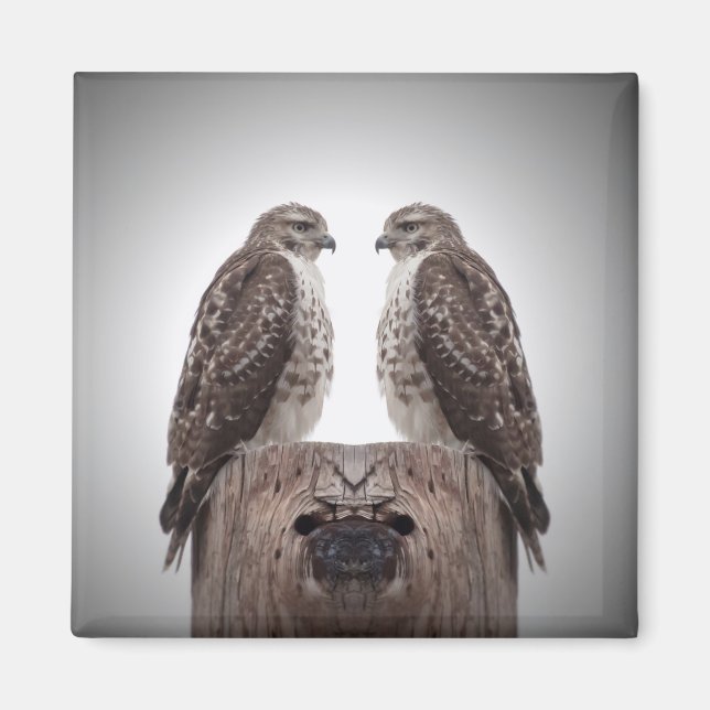 Íman Falcões em um cargo (Frente)