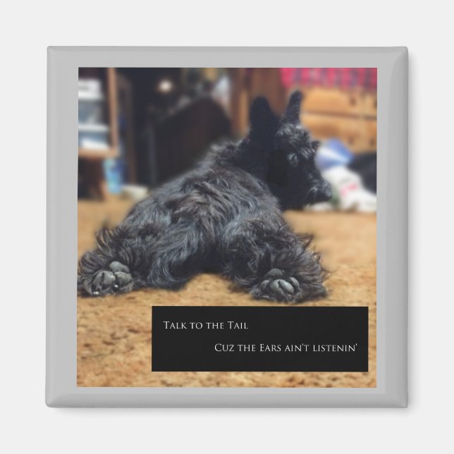 Íman Fale com a Cauda (Frente)