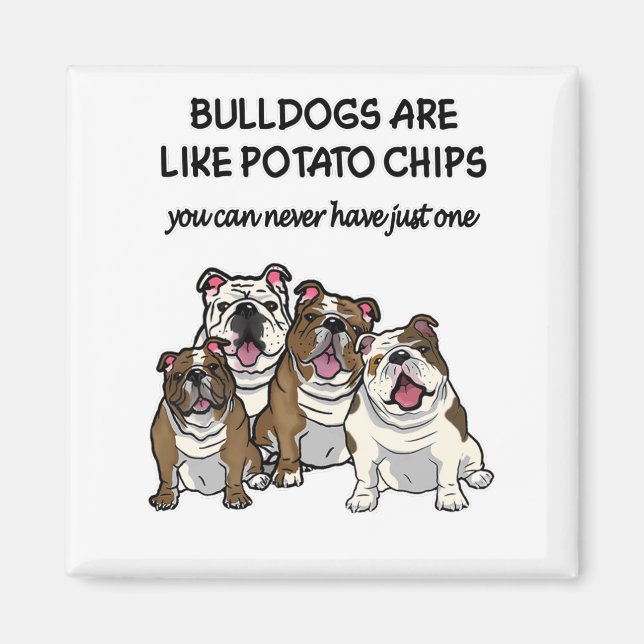 Íman Falha na Foster de Vários Bulls EBD (Frente)