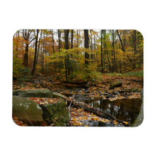 Íman Fall Creek com Reflexão no Laurel Hill Park