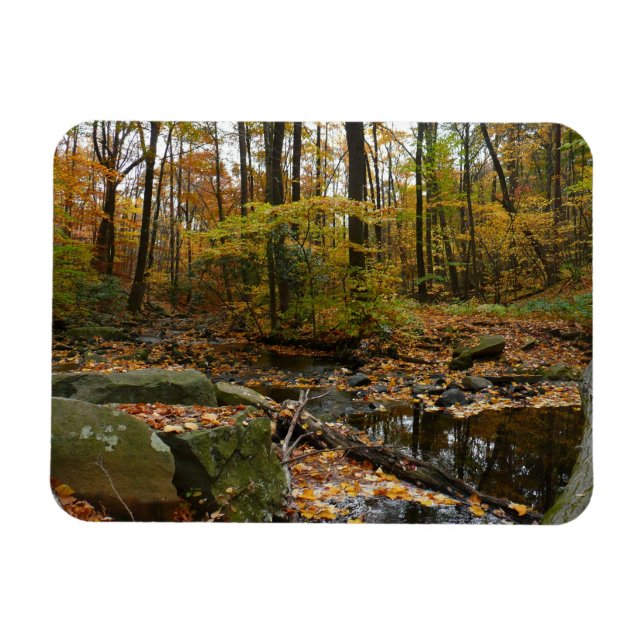Íman Fall Creek com Reflexo no Laurel Hill Park (Horizontal)