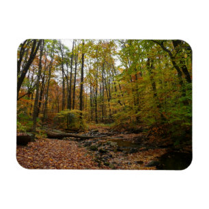 Íman Fall Creek em Laurel Hill State Park na Pensilvâni