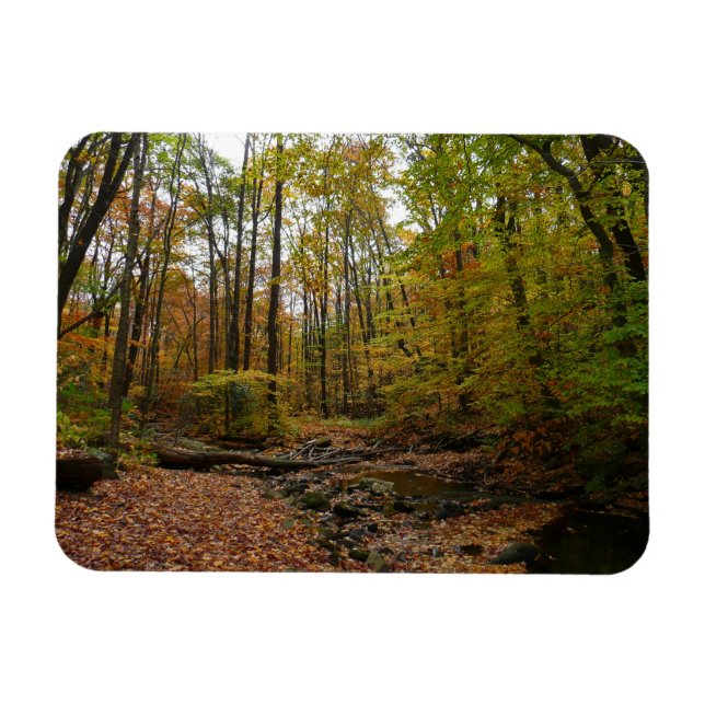 Íman Fall Creek em Laurel Hill State Park na Pensilvâni (Horizontal)