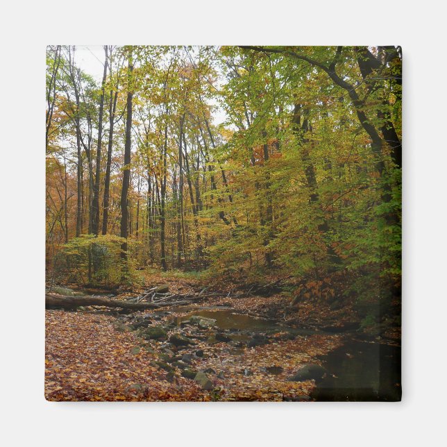 Íman Fall Creek no Parque Estadual de Laurel Hill (Frente)