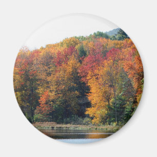 Íman Fall Foliage Pond Nature Fotografia