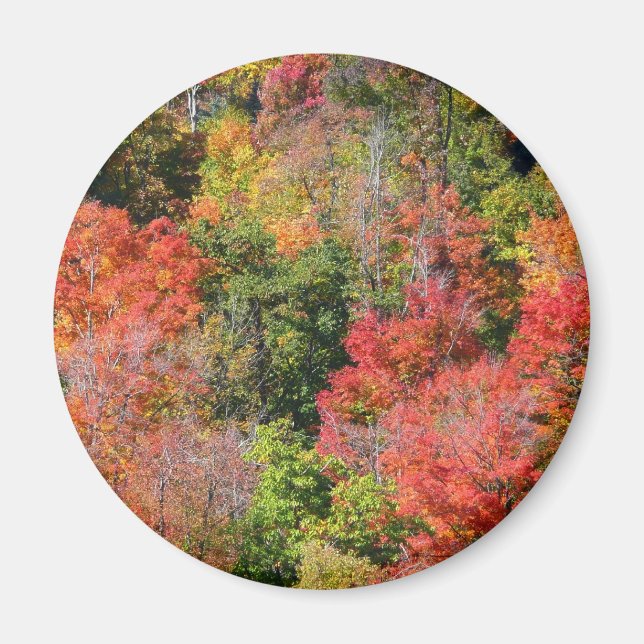 Íman Fall Hillside Colorter Autumn Nature Fotografia (Frente)