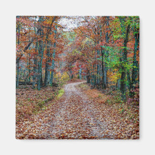 Íman Fall On The Dirt Road new