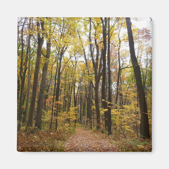 Íman Fall Trail and Ouro Leaves no Laurel Hill Park (Frente)