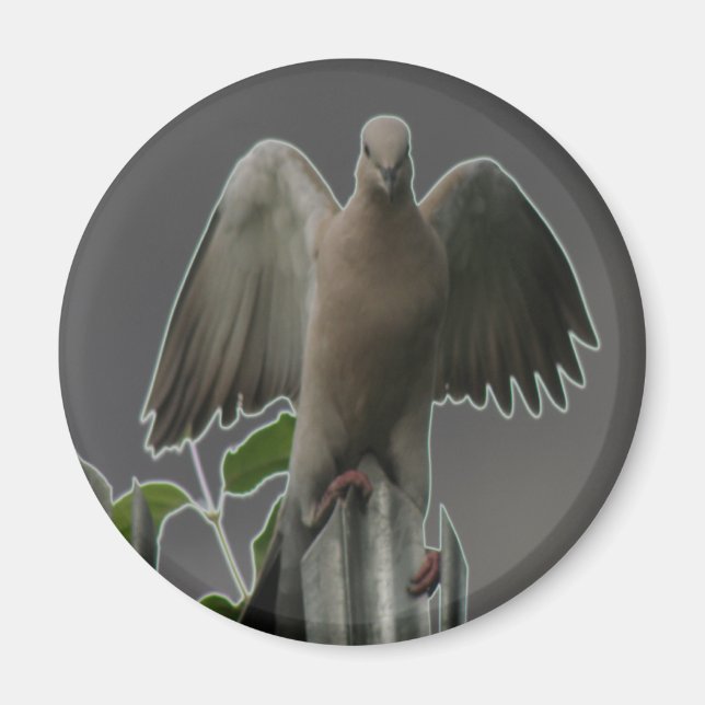 Íman Fallen Angel Dove Magnet (Frente)