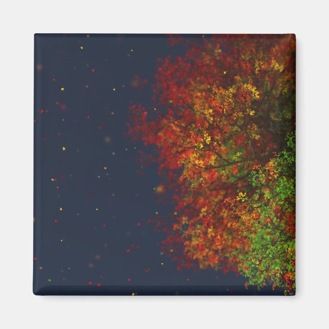 Íman Falling Rainbow Magnet (Frente)
