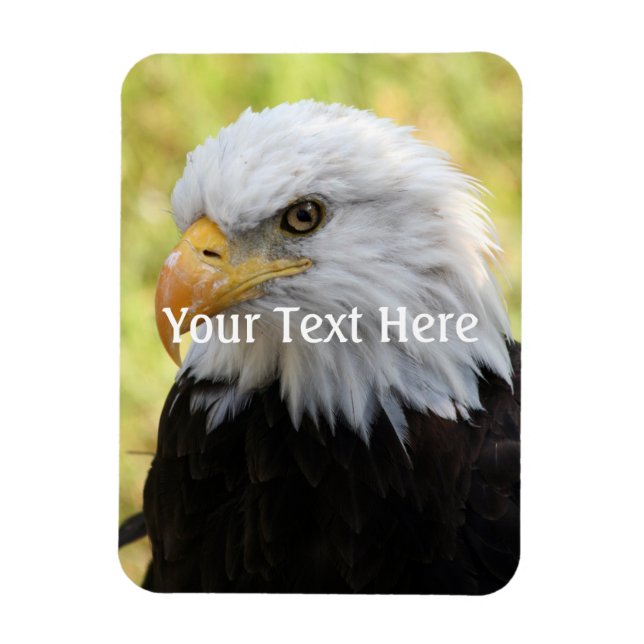 Íman Falln Bald Eagle Liberty (Vertical)