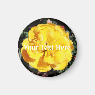 Íman Falln Sunshine Floral