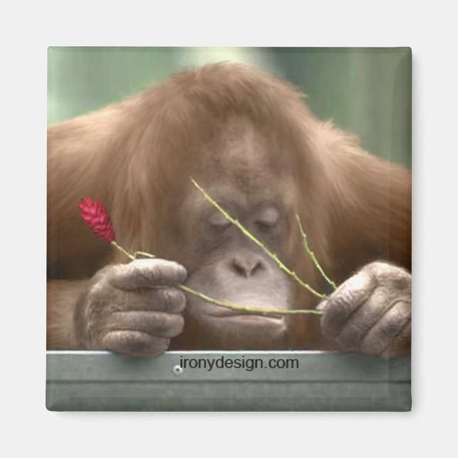 Íman Faltando você (Frente)