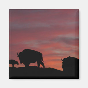 Íman Família Bison