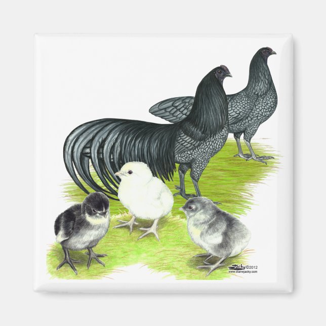 Íman Família Blue Sumatra (Frente)