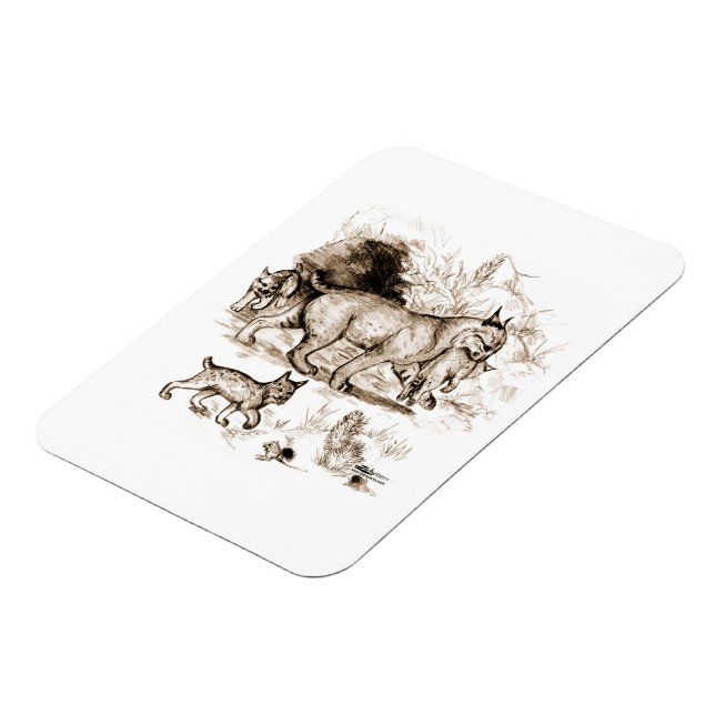 Íman Família Bobcat (Left Side)