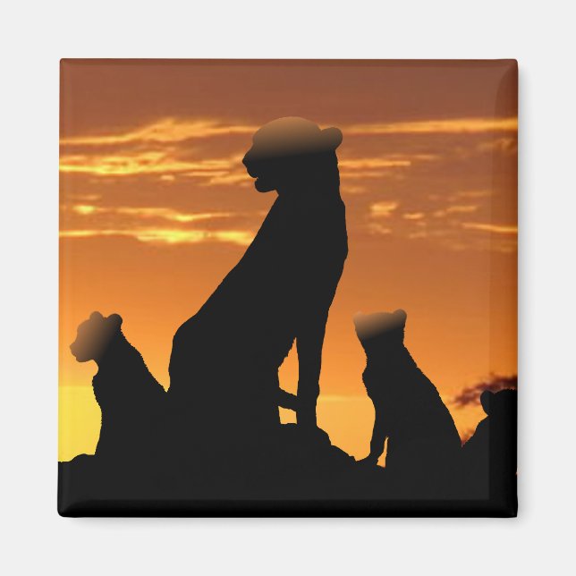 Íman Família Cheetah (Frente)