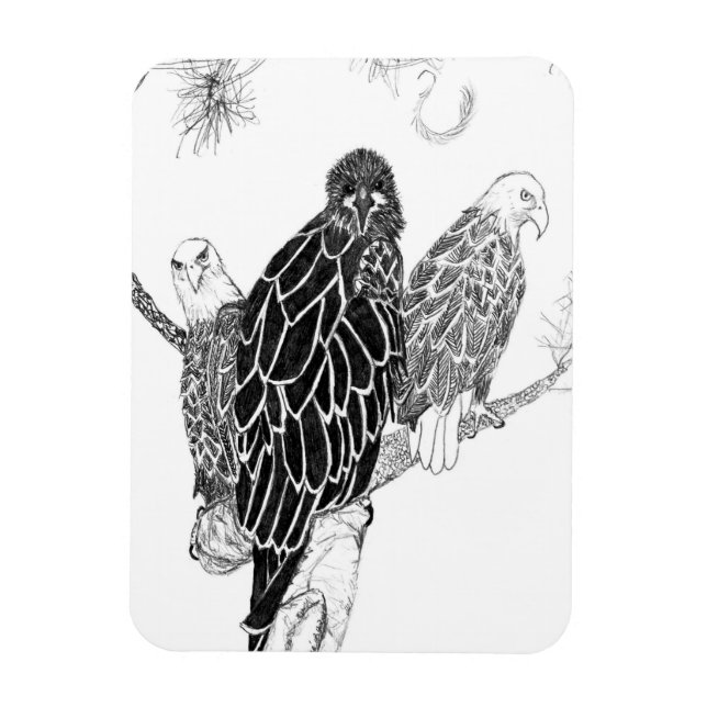 ÍMAN  FAMÍLIA DE ÁGUA M15, E15 + HARRIET UM CASO FAMILIA (Vertical)