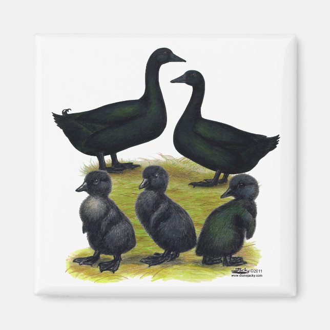 Íman Família de Pato Cayuga (Frente)