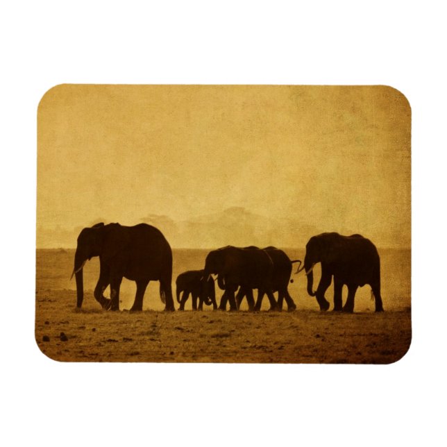 Íman Família Elefante (Horizontal)