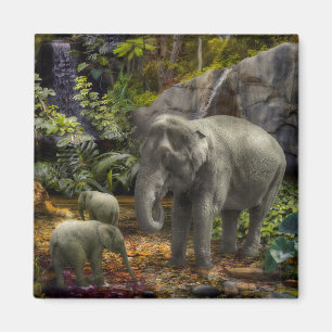 Íman Família Elefante "FESTA DE FLORESTA DE CHUVA"