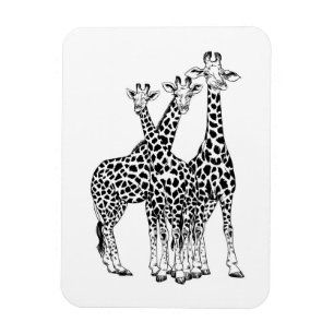 Íman Família Giraffe