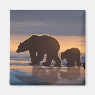 Íman Família Polar Bear