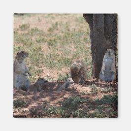 Íman Família Prairie Dog