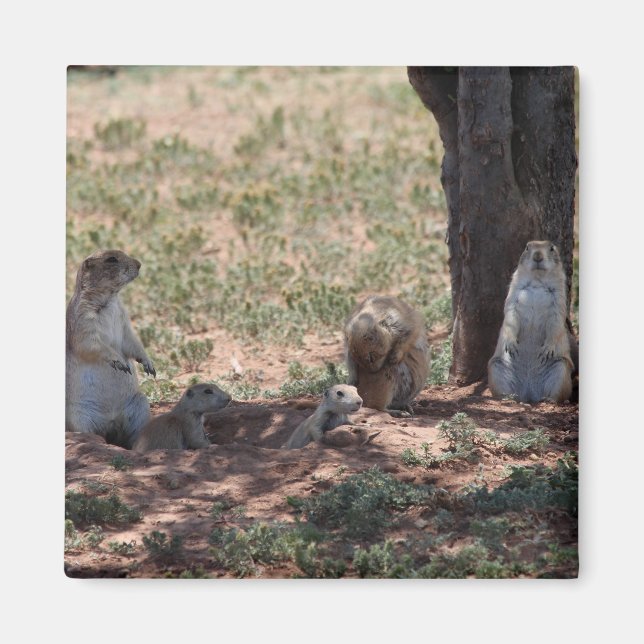 Íman Família Prairie Dog (Frente)