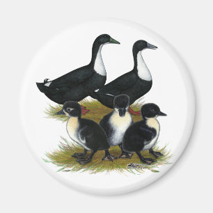 Íman Família sueco do pato