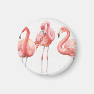 Íman Família tropical de dos flamingos