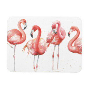 Íman Família tropical de dos flamingos