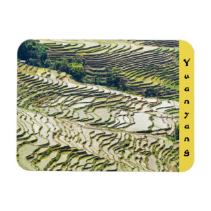 Íman Famosos terraços de arroz yuanyang - Yunnan, China