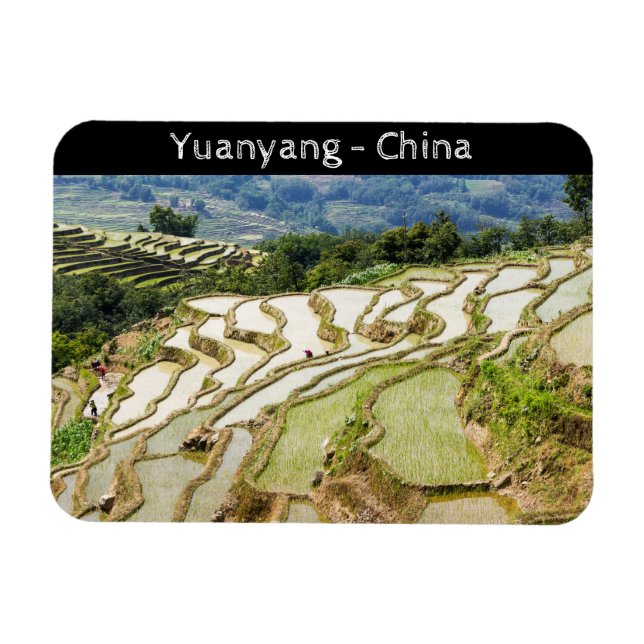 Íman Famosos terraços de arroz yuanyang - Yunnan, China (Horizontal)