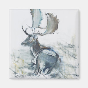 Íman Fanfarrão na grama 2006