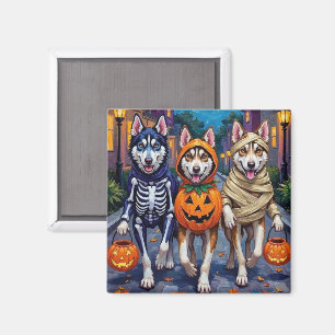 Íman Fantasia de Halloween do Siberian Husky fazendo Tr