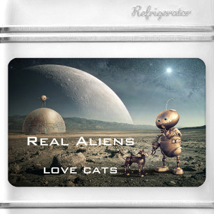 Íman Fantasia Engraçada Magnet Alienígena Gato Louco