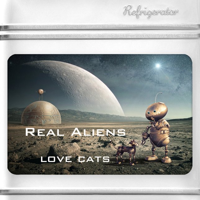 Íman Fantasia Engraçada Magnet Alienígena Gato Louco (Funny space magnet featuring an image of a strange planet with a cute kitty talking to an alien.)