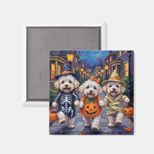 Íman Fantasias de Halloween para Bichon Frise em Doces