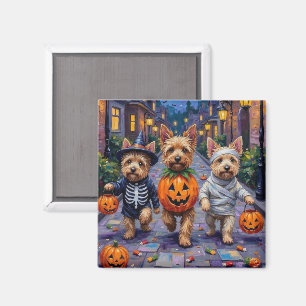 Íman Fantasias de Halloween para Cairn Terrier fazendo 