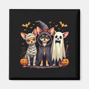 Íman Fantasias de Halloween para Chihuahua Múmia Bruxa