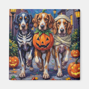 Íman Fantasias de Halloween para English Setter em Doce