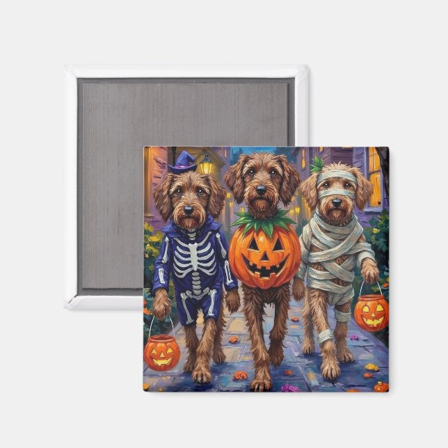 Íman Fantasias de Halloween para Griffon de Pelo Duro (Front/Back)