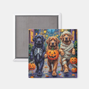 Íman Fantasias de Halloween para Trick-or-Treat de Newf
