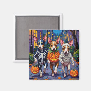 Íman Fantasias de Halloween para Trick-or-Treat de Rat