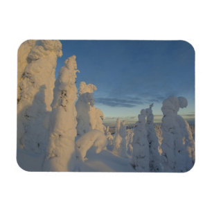 Íman Fantasmas de neve ao pôr do sol no Whitefish Mount